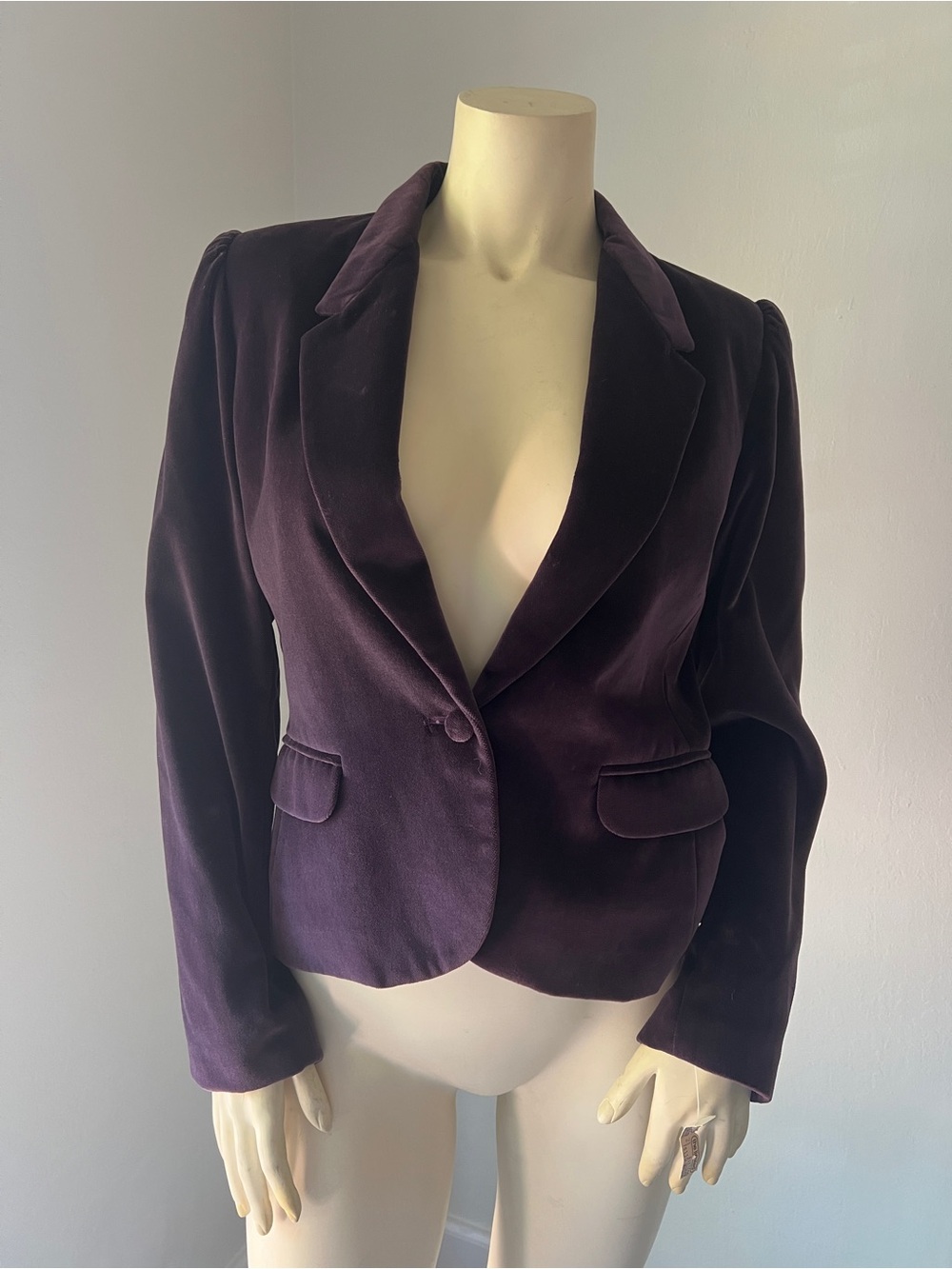 Vintage Sasson Deep Plum Velvet Blazer Jacket. Size Medium.